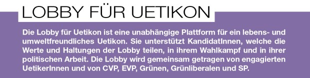 Logo Text im Feld  RGB